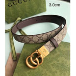   Ʈ    GS6034-1    3CM  2÷ 