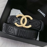   Ʈ     YL8305     2÷  3CM