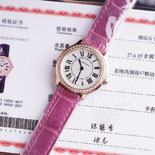 쿡 յ ӽƮ     C3609   4÷